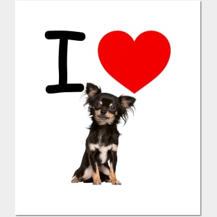 I HEART FLUFFY Chihuahua Posters and Art